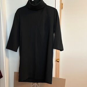 Zara Black Turtleneck Dress